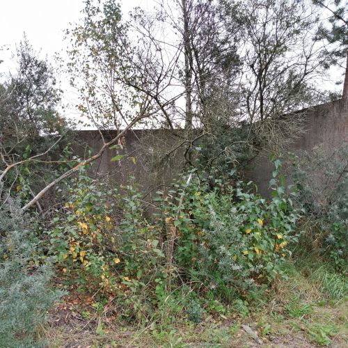 Ограждение территории д. Красное