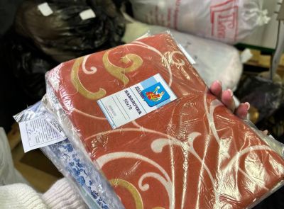 имущества ООО "Дизпосейл"