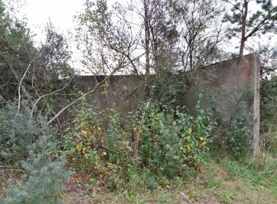 Ограждение территории д. Красное