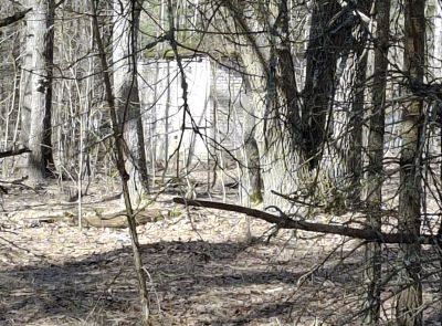 Комплекс зданий бывшего военного городка №67 "Дубовка"